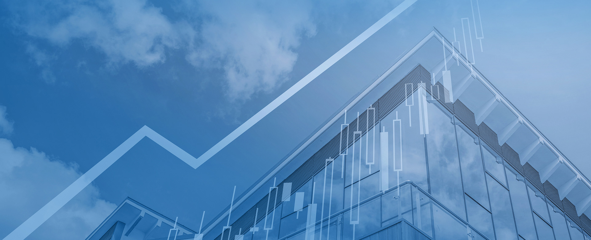 投(tou)資(zi)者關係(xi)